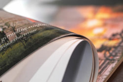 lynch bages sammarcelli imprimerie bordeaux